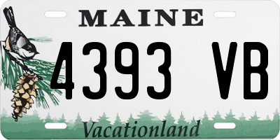 ME license plate 4393VB