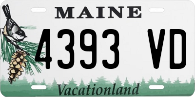 ME license plate 4393VD