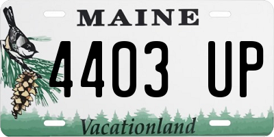 ME license plate 4403UP