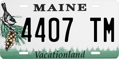 ME license plate 4407TM