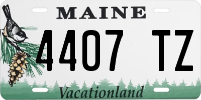 ME license plate 4407TZ