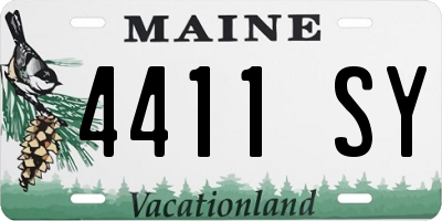 ME license plate 4411SY