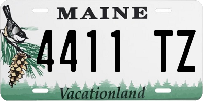ME license plate 4411TZ