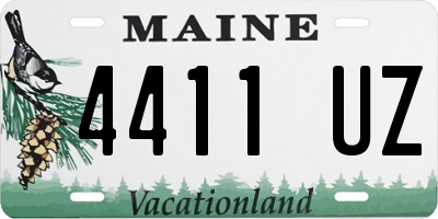 ME license plate 4411UZ