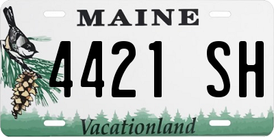 ME license plate 4421SH