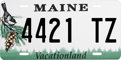 ME license plate 4421TZ