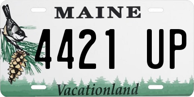 ME license plate 4421UP