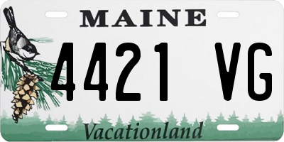 ME license plate 4421VG