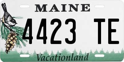 ME license plate 4423TE