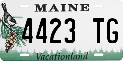 ME license plate 4423TG