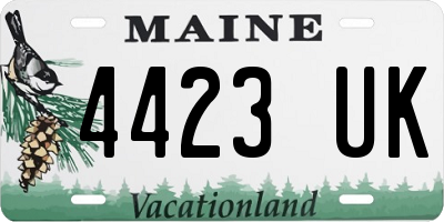 ME license plate 4423UK