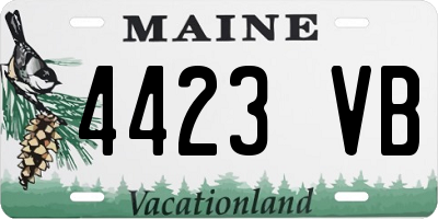 ME license plate 4423VB