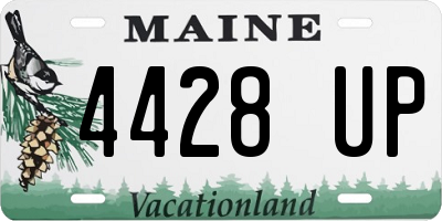 ME license plate 4428UP