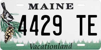 ME license plate 4429TE