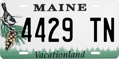 ME license plate 4429TN