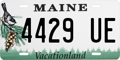 ME license plate 4429UE