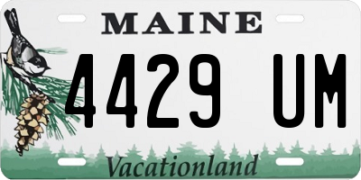 ME license plate 4429UM