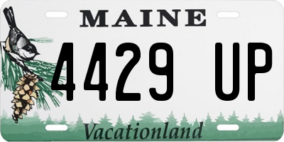 ME license plate 4429UP