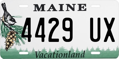 ME license plate 4429UX