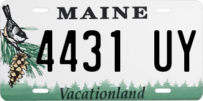 ME license plate 4431UY