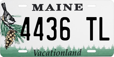 ME license plate 4436TL