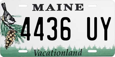 ME license plate 4436UY