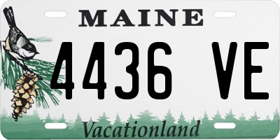 ME license plate 4436VE