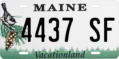 ME license plate 4437SF
