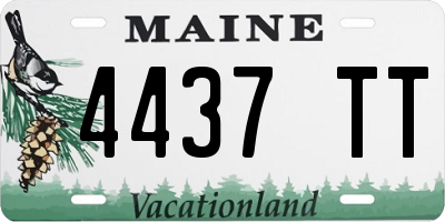 ME license plate 4437TT