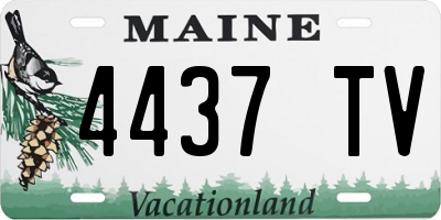 ME license plate 4437TV