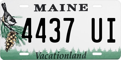 ME license plate 4437UI