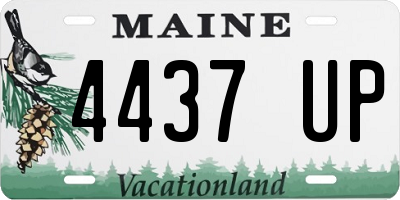 ME license plate 4437UP
