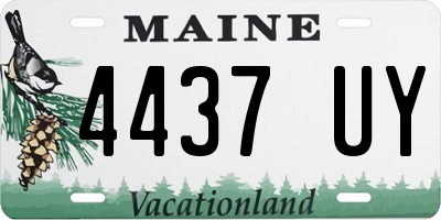 ME license plate 4437UY