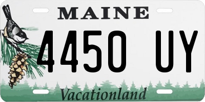 ME license plate 4450UY