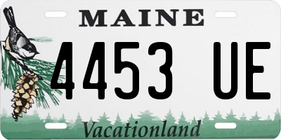 ME license plate 4453UE