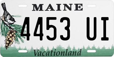 ME license plate 4453UI