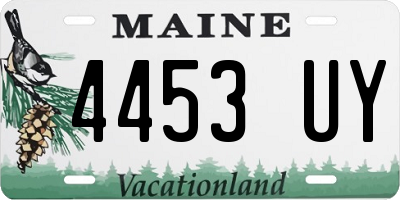 ME license plate 4453UY