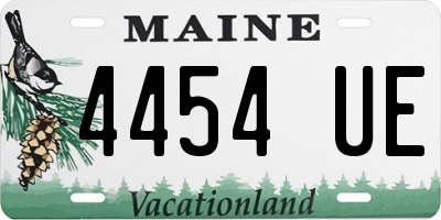ME license plate 4454UE