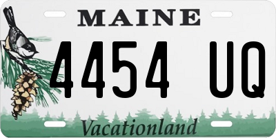 ME license plate 4454UQ