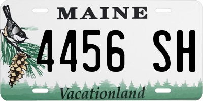 ME license plate 4456SH