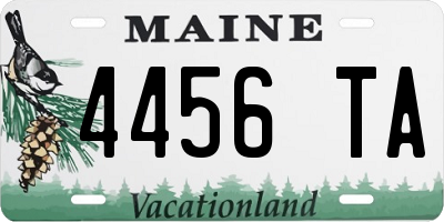 ME license plate 4456TA