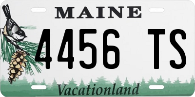 ME license plate 4456TS