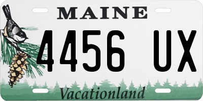 ME license plate 4456UX