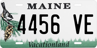 ME license plate 4456VE