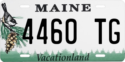 ME license plate 4460TG