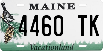 ME license plate 4460TK