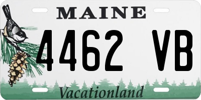 ME license plate 4462VB
