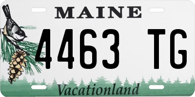 ME license plate 4463TG