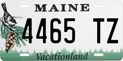 ME license plate 4465TZ