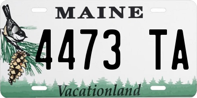 ME license plate 4473TA
